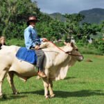 Viñales