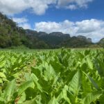 Imagen de WhatsApp 2024-04-14 a las 20.41.38_4c6d9350